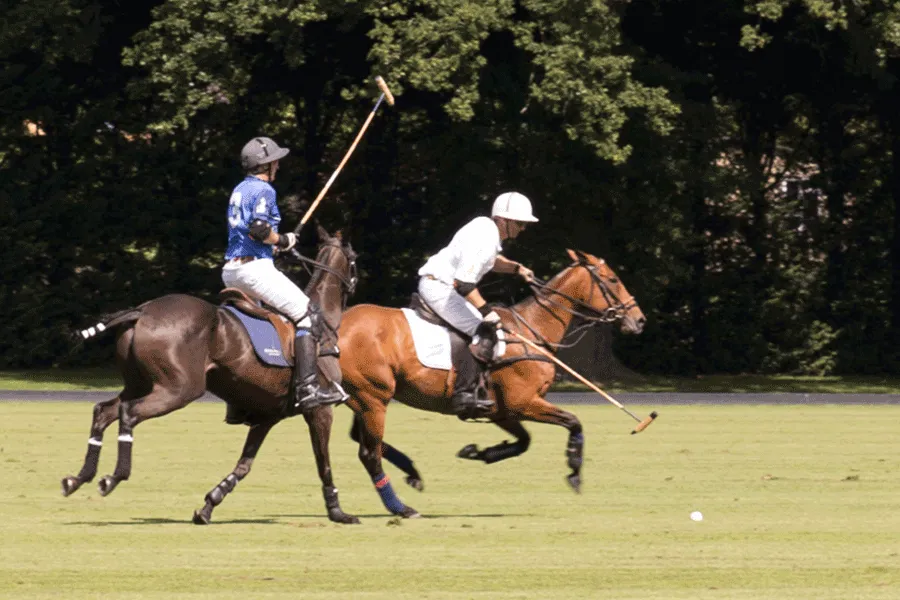 polo players in action on the grounds