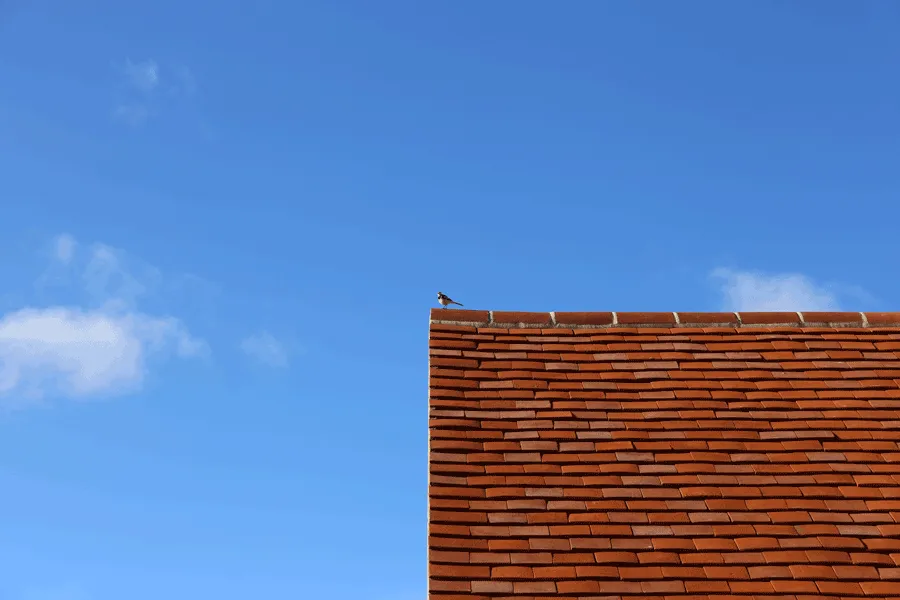 bird on cottage tiled red roof