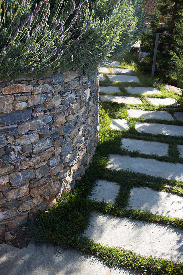 slate paving to entrance path with stone retaining wall and lavender