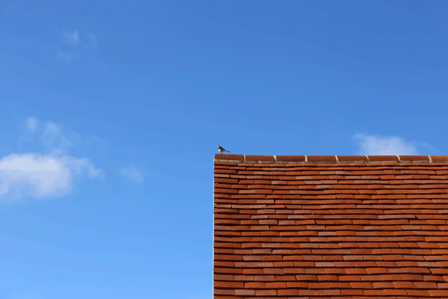 Bird on cottage tiled red roof
