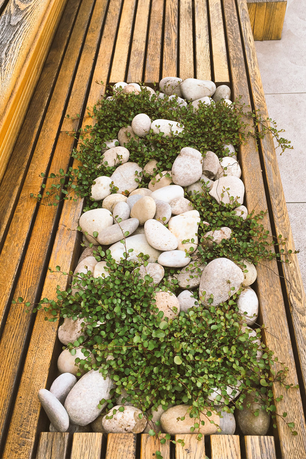 Exterior wooden bench on terrace