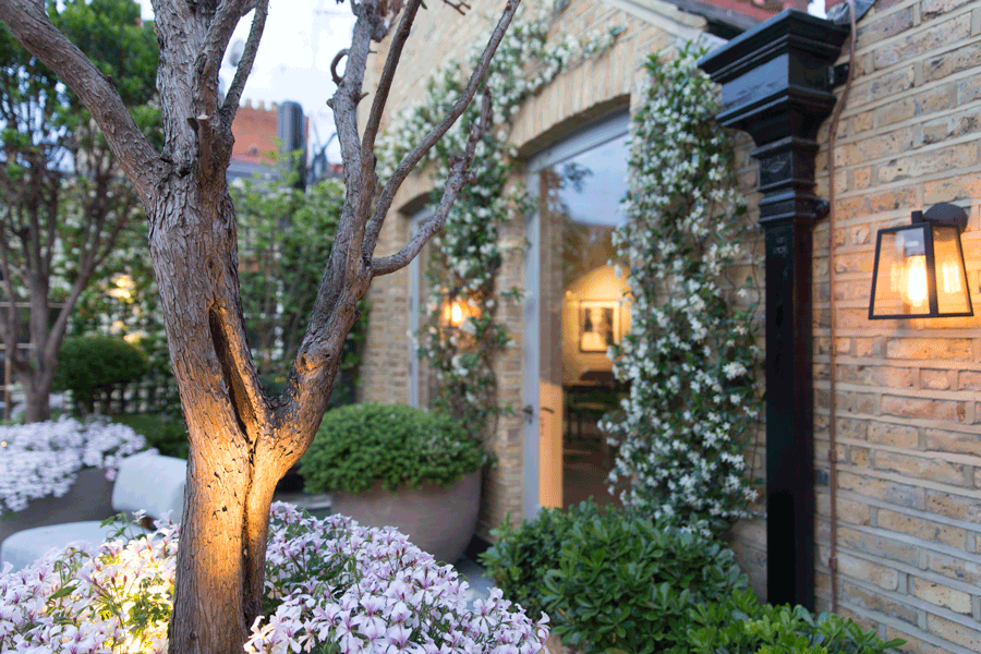 Flowers on roof garden with brick facade