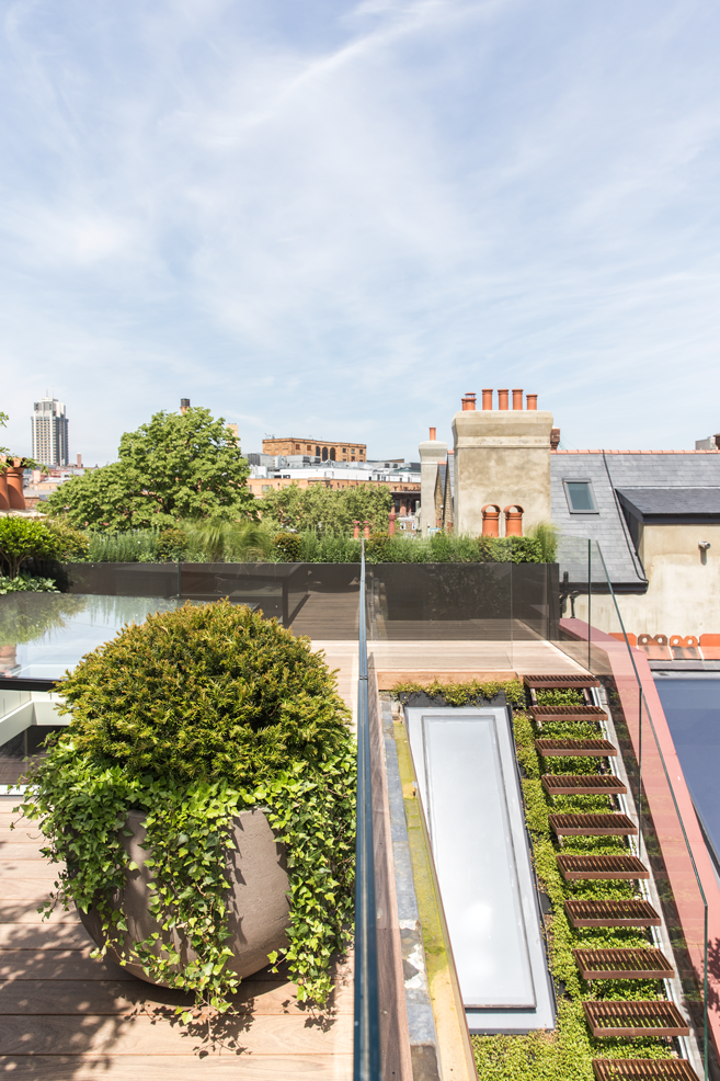Cantilevered steel stair up green roof to terrace