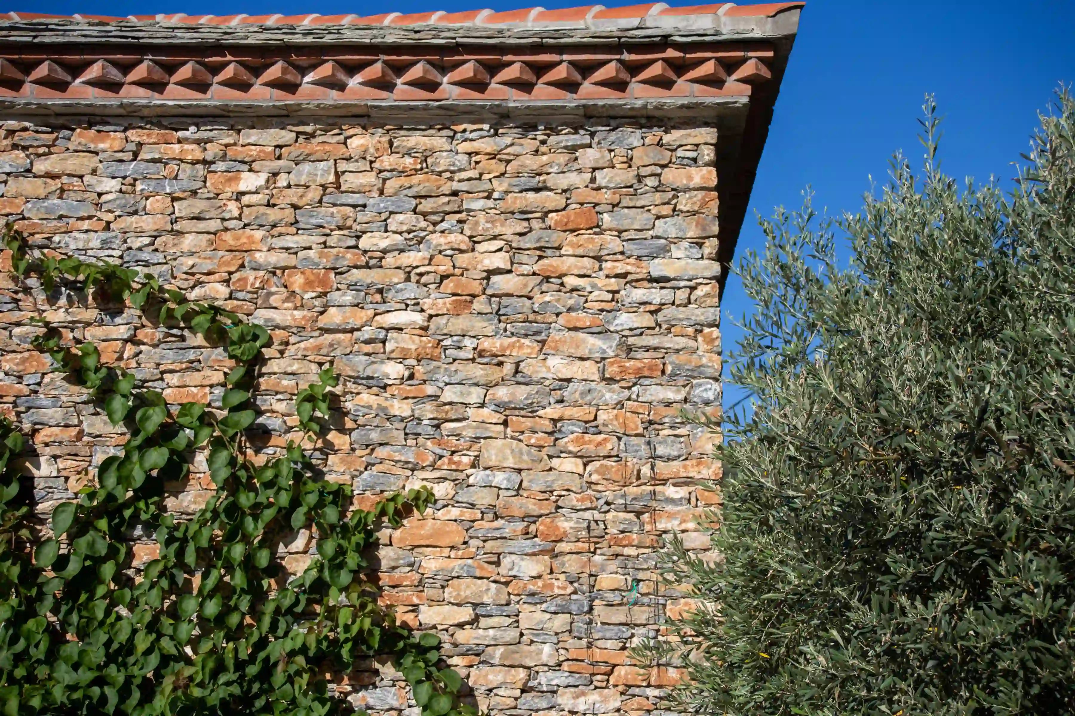 Detail of stone elevation with brick cornice and bougainvillea