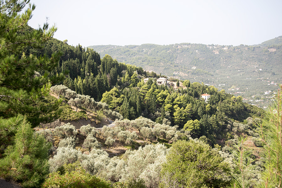 The site in woodland viewed from a distance