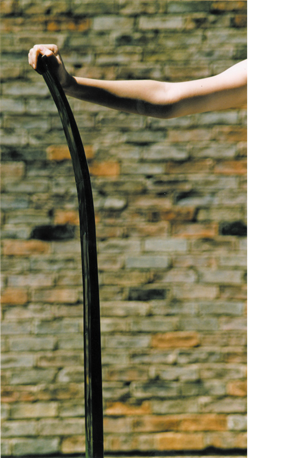Spring side arm