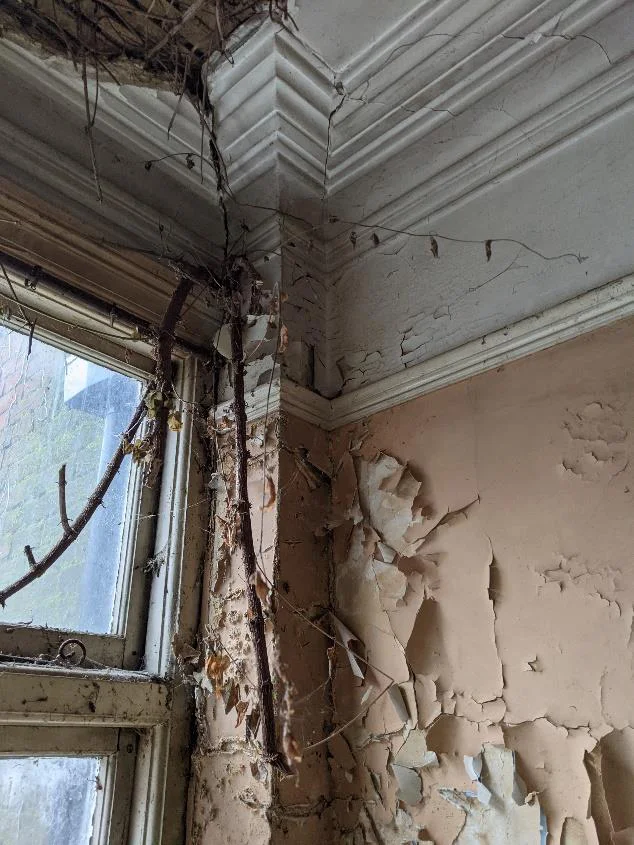 Staverton Road Oxford — before the works, plants were growing into the house through dilapidated windows, collapsing ceilings and peeling paint
