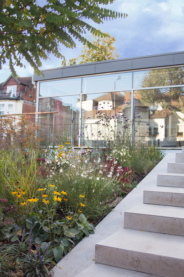 Main entrance stone steps and garden flowering