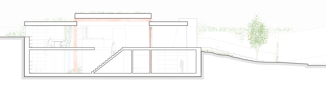 Section through the house