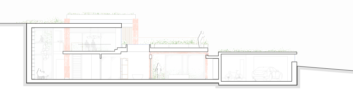 Section through the house